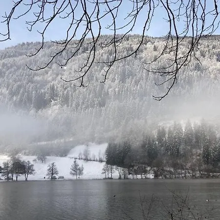 アパート Im Haus Seebrauer In Feld Am *